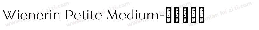 Wienerin Petite Medium字体转换